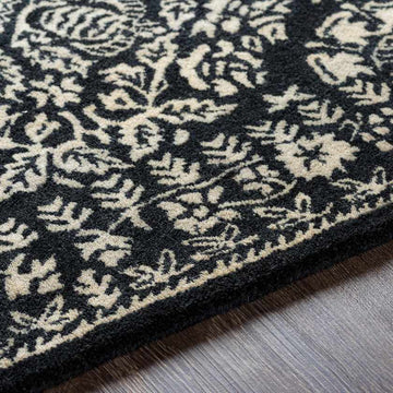 Rogla Transitional Black Area Rug